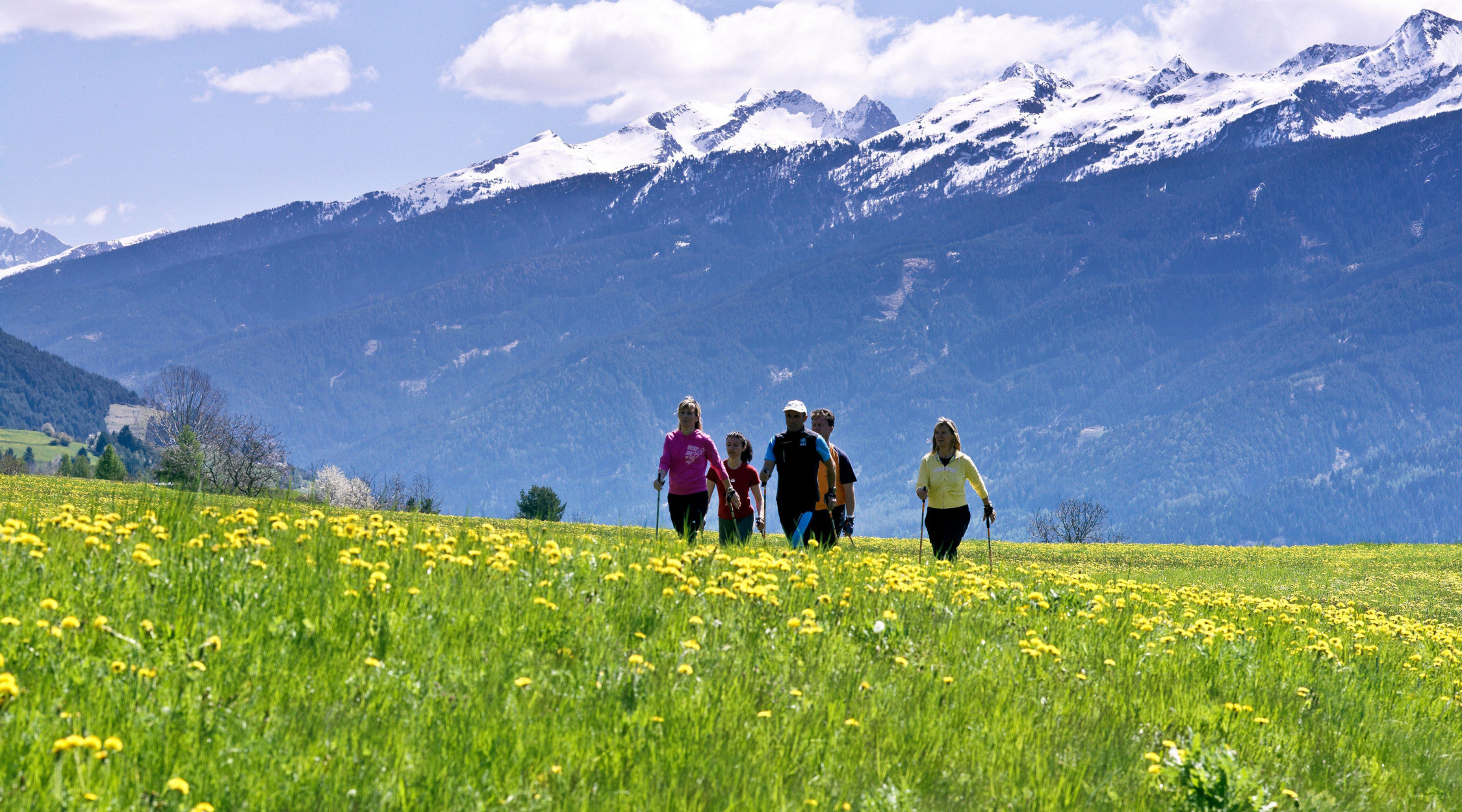 La Trentina | Camminare in messo alla natura