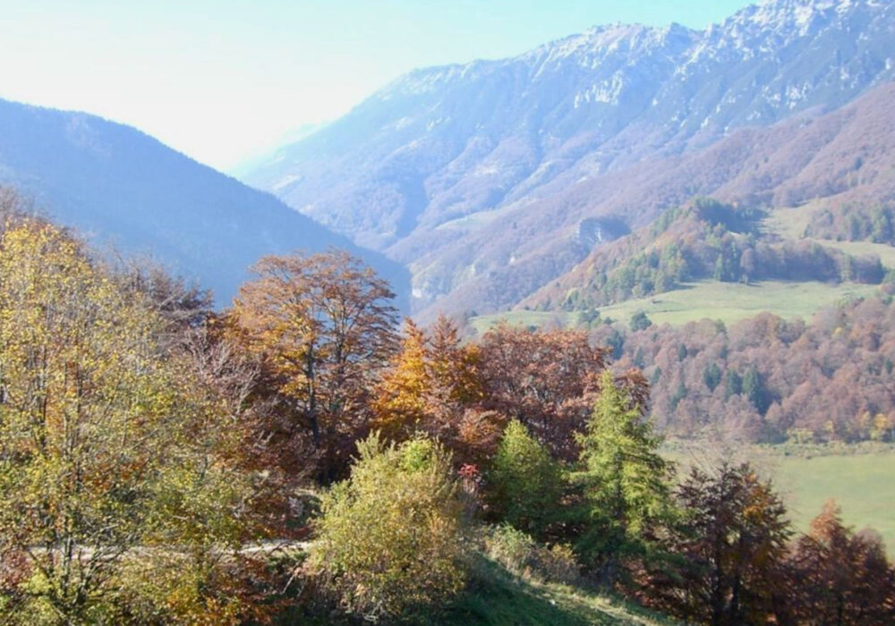 Il giro delle malghe del monte Baldo: escursione indimenticabile