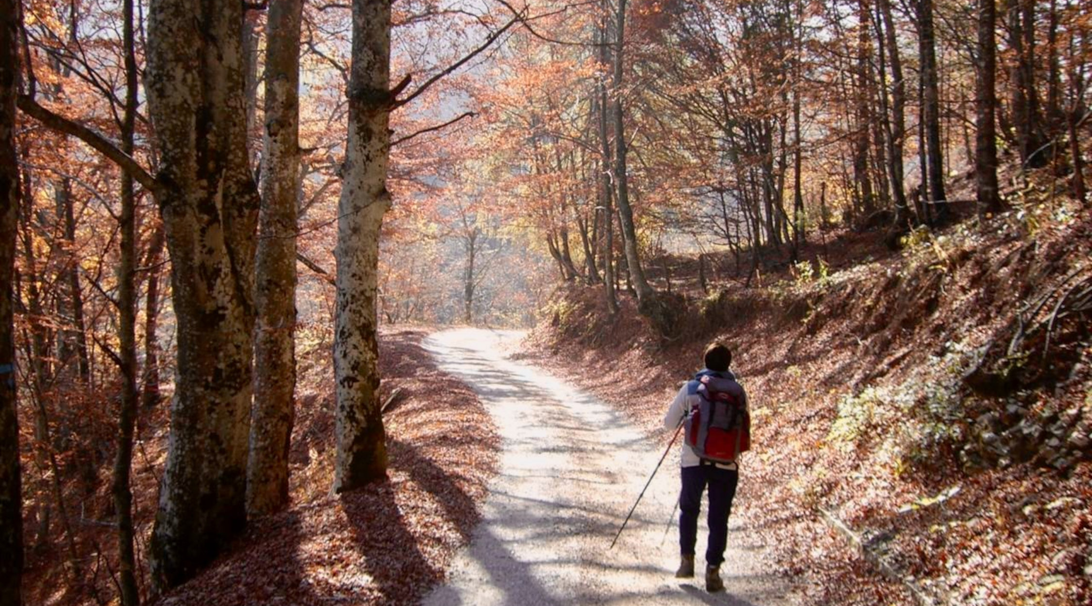 Giro malghe Monte Baldo