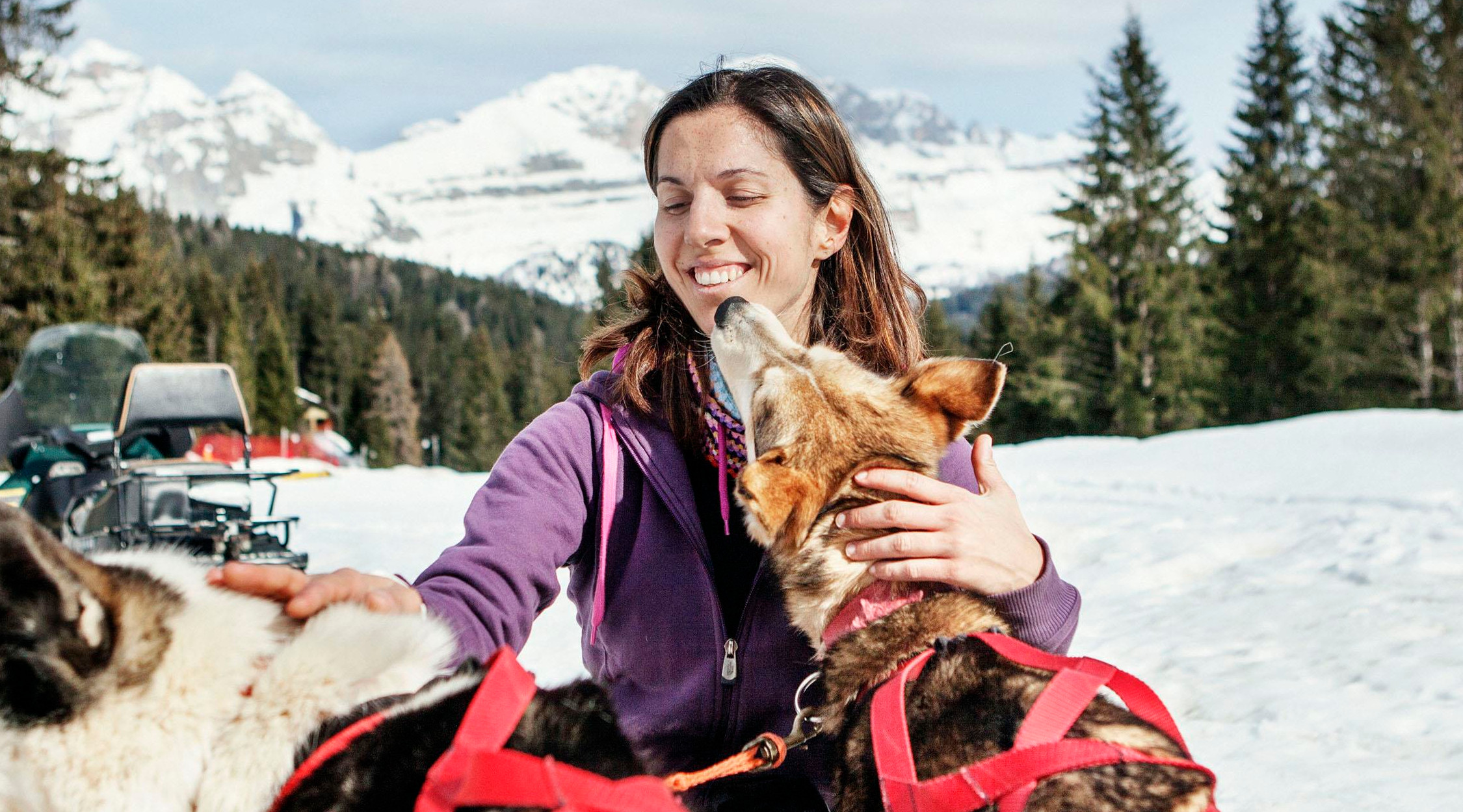 Sleddog Trentino