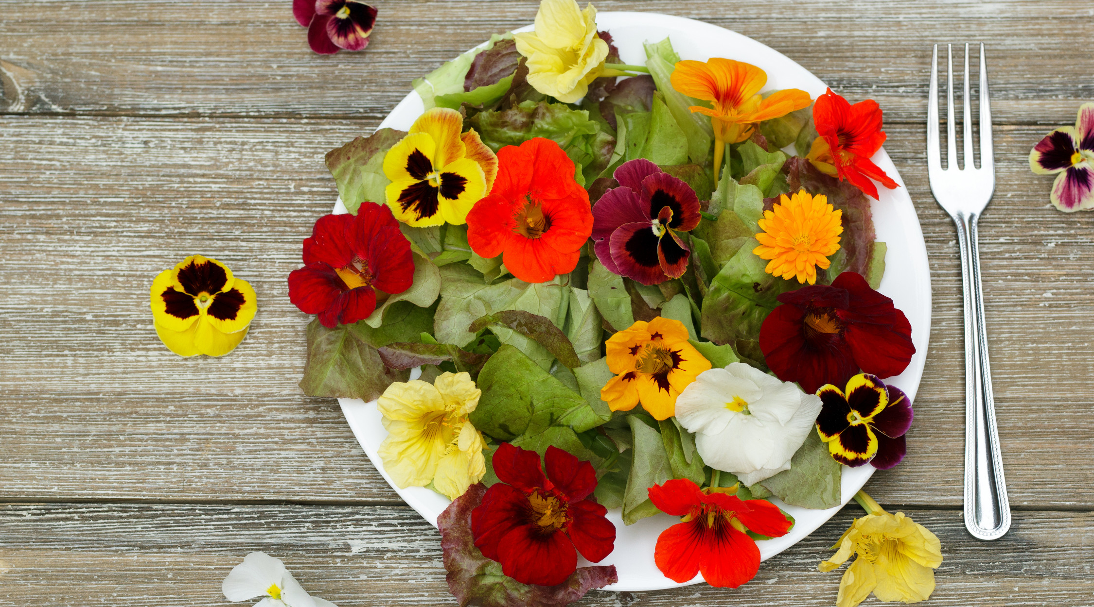 Erbe e fiori commestibili